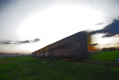 IIP Online Student Photography